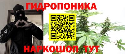 прущие грибы Ангарск