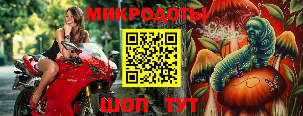Галлюциногенные грибы Psilocybe Асино